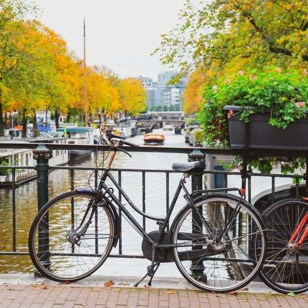 fietsparkeren fietsen fietskluis buurtfietsenstalling fietsparkeren fietsen fietskluis buurtfietsenstalling