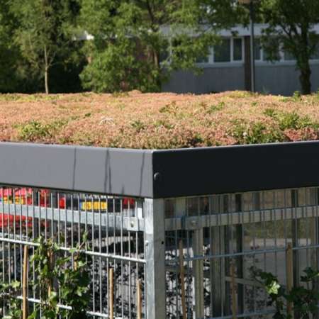 26725 overkapping speelgoedberging sedum dak brede school