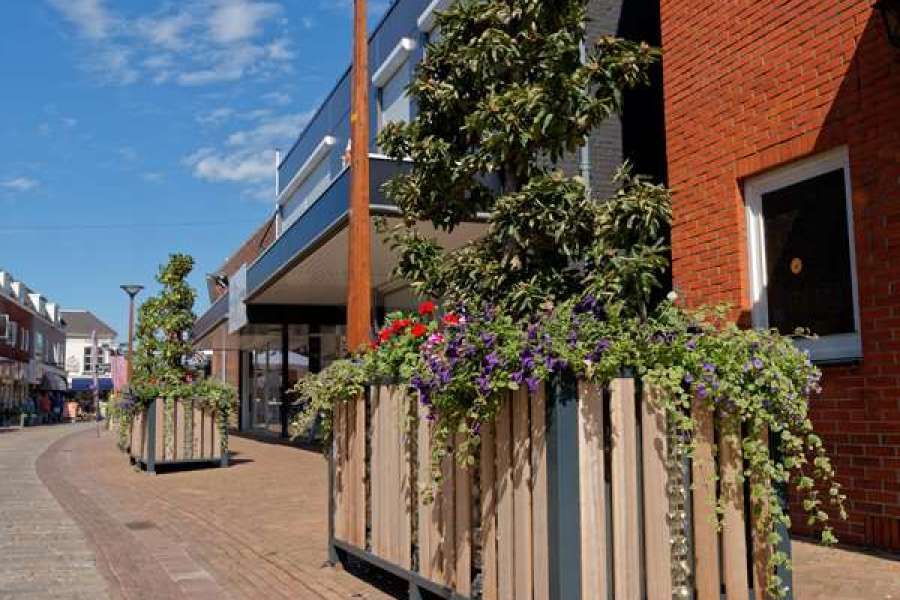 Glinsterende plantenbakken in Tubbergen