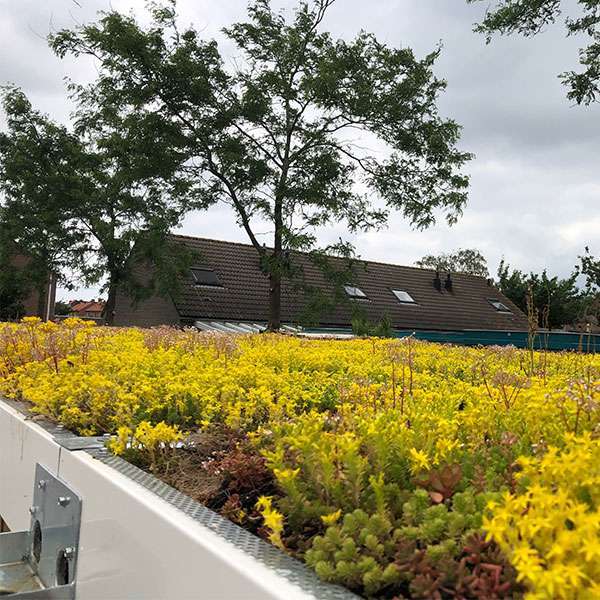 112822 fietsoverkapping berging schoolplein