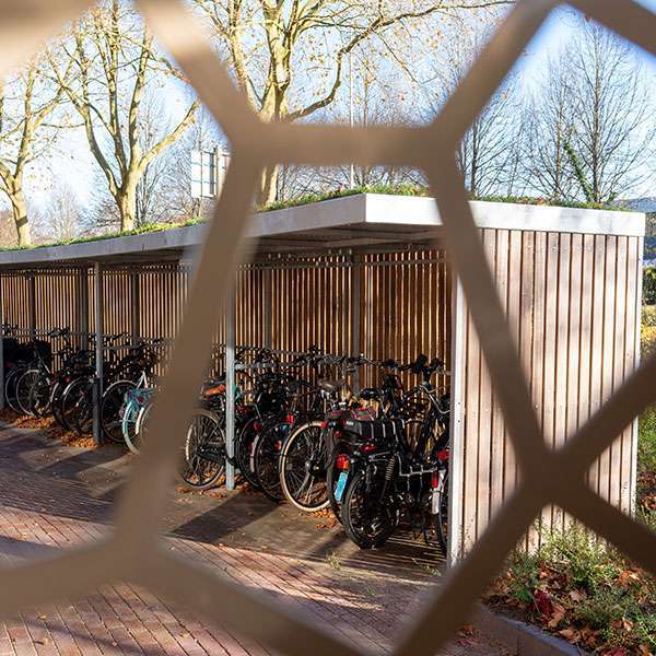 116144 fietsoverkapping fietsenrekken unieke vorm