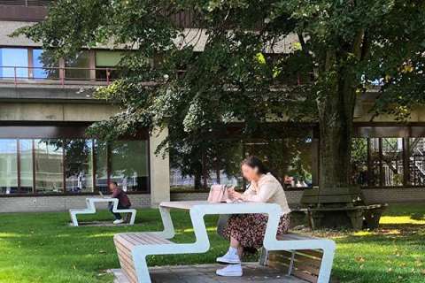 112997 inrichting buitenruimte ziekenhuis zorginstelling straatmeubilair buitenbank zitbank afvalbak picknickset