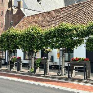 142048 verkeersvoorziening geleidehek