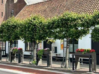 142048 verkeersvoorziening geleidehek