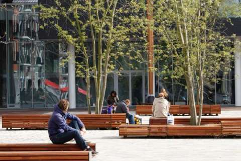 Levendig plein met zitelementen en boombescherming ineen