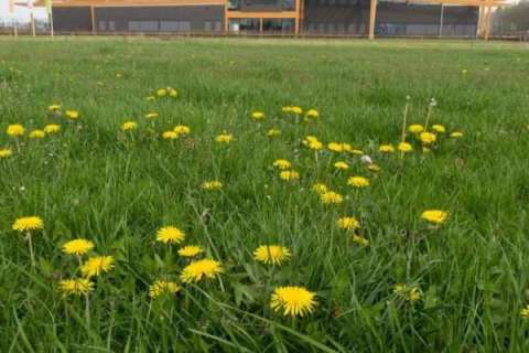 Falco fietsenstalling voor 