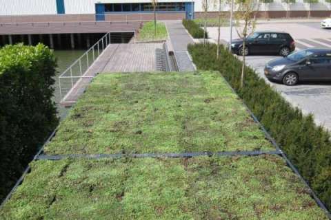 Een groendak op uw berging?