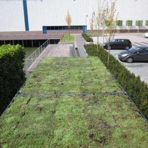 Projecten | Een groendak op uw berging? | image #1 | 