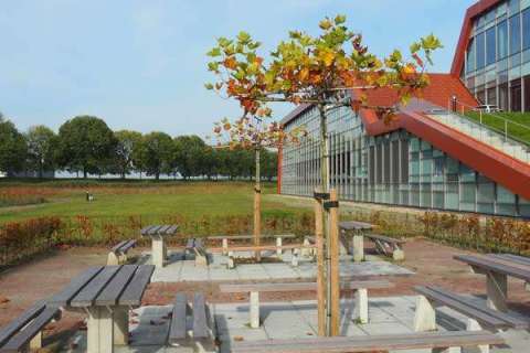 89548_terreinmeubilair_picknicksets_banken_tafels_FalcoPark