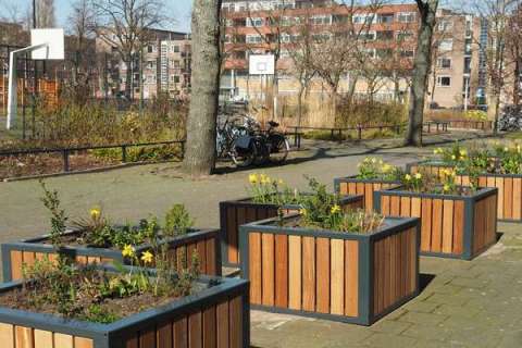 Nog meer groen in de Indische Buurt, Amsterdam