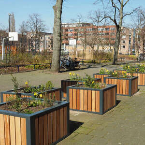 Projecten | Nog meer groen in de Indische Buurt, Amsterdam | image #1 | 
