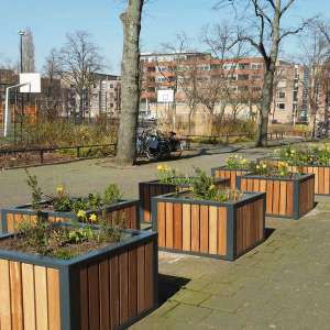 Nog meer groen in de Indische Buurt, Amsterdam