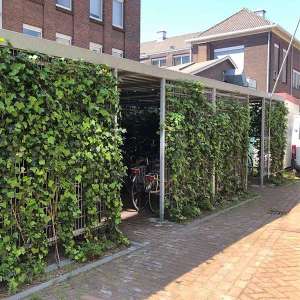 Projecten | Groene fietsenstalling bij appartementencomplex in Rotterdam | image #1 | 80852 fietsoverkapping fietsparkeren  fietsenrek