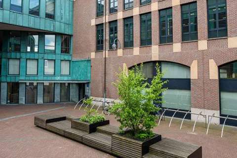 96154 buitenbank boombank FalcoLinea XXL plantenbak zitelement