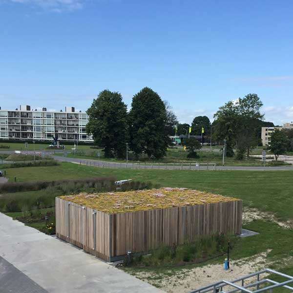 Groendaken