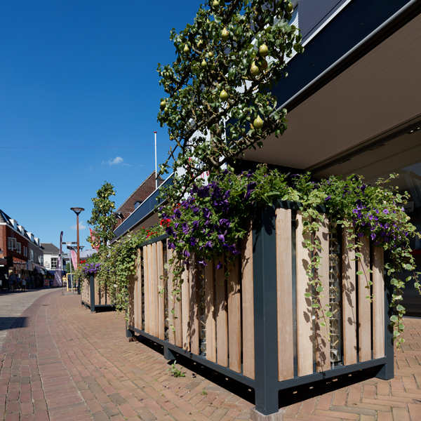 Glinsterende plantenbakken in Tubbergen