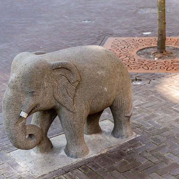 103460 straatmeubilair boombescherming boomroosters