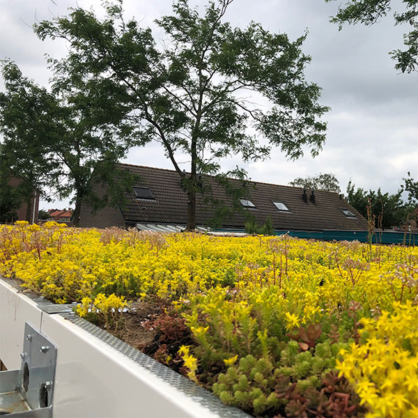 112822 fietsoverkapping berging schoolplein