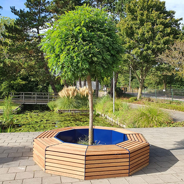 Zes boombanken op groen schoolplein