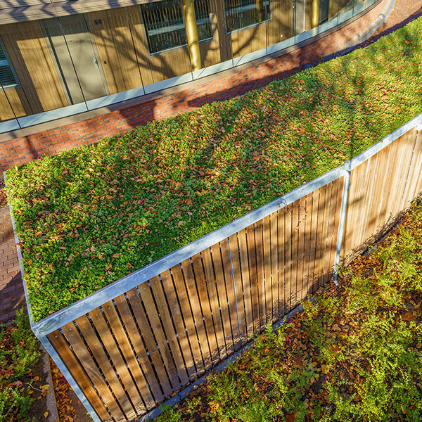 116144 fietsoverkapping fietsenrekken unieke vorm