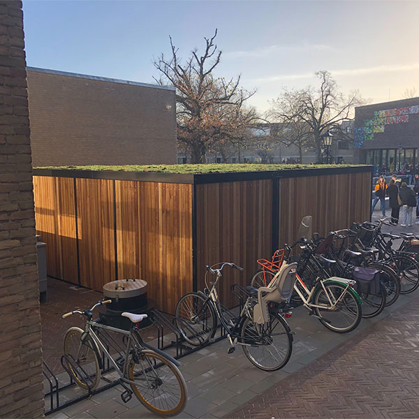 Herinrichting schoolplein ECL in Haarlem