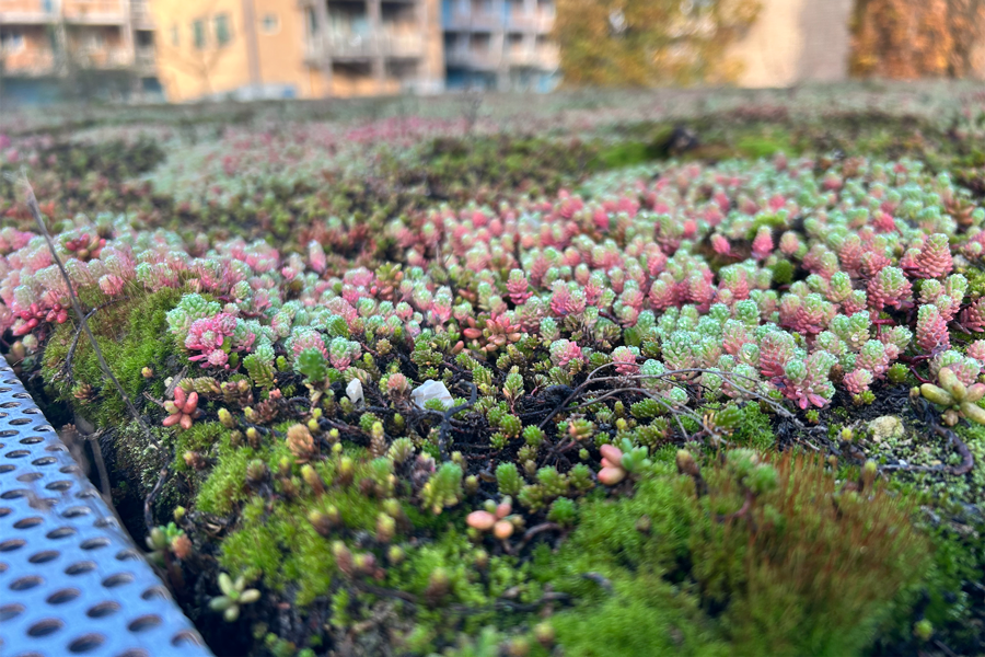 Scootmobielen veilig en overzichtelijk gestald bij De Ark