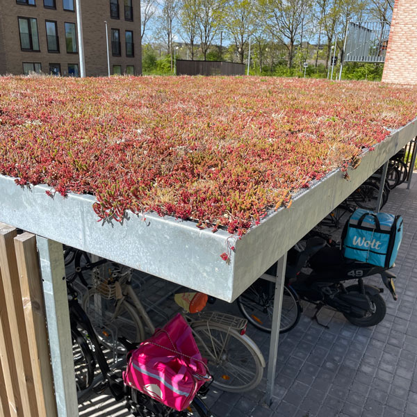 135567 fietsparkeren fietsoverkapping fietsenstalling 