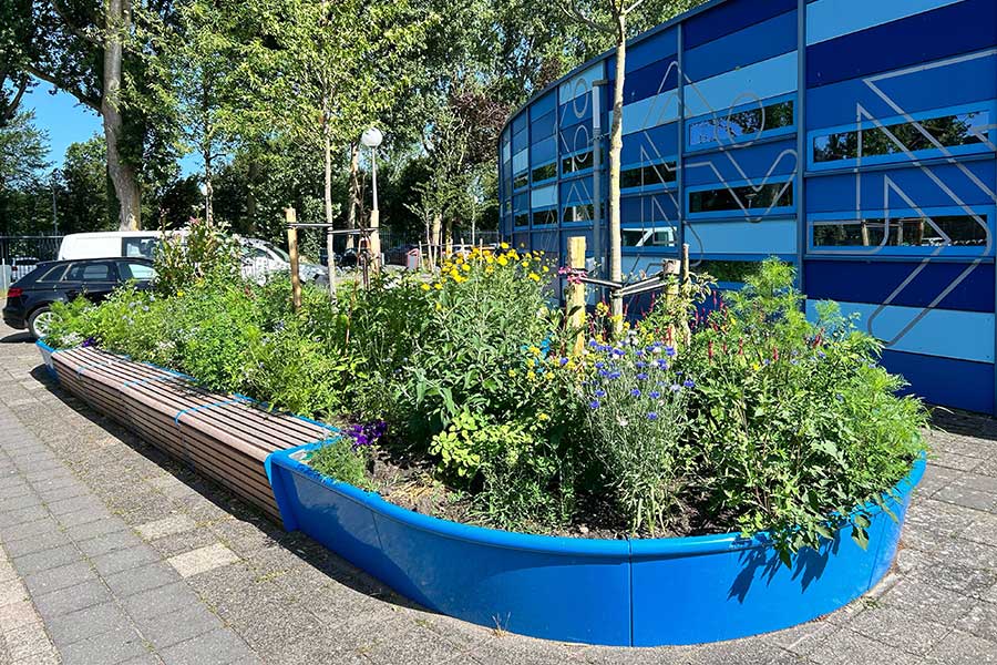 Groen en ontmoeting op het schoolplein van OSG Willem Blaeu