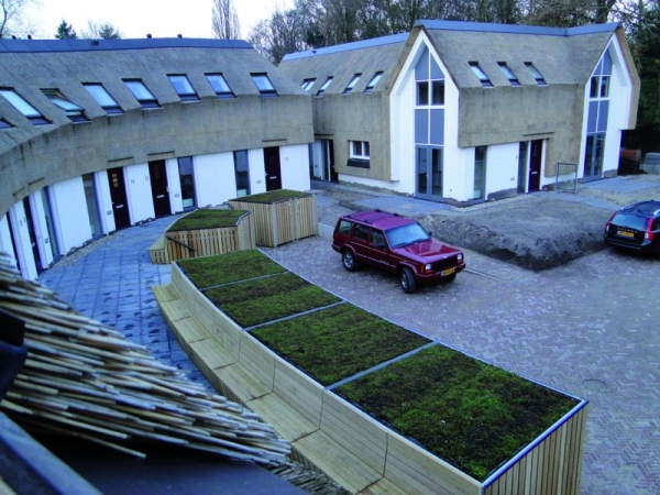 Elk seizoen een ander groendak met Falco