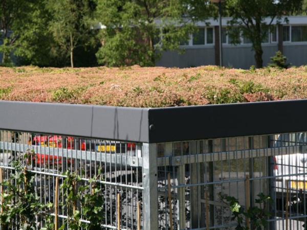 26725 overkapping speelgoedberging sedum dak brede school