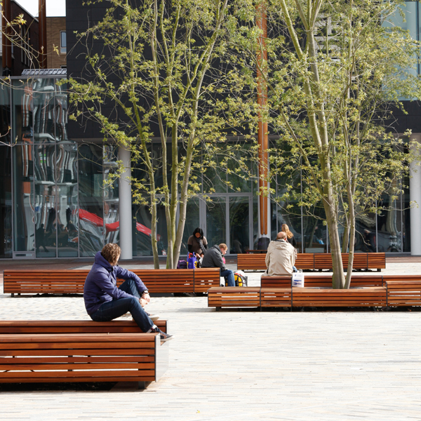 Levendig plein met zitelementen en boombescherming ineen