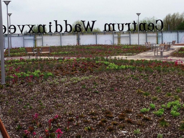 Groen dakterras met FalcoNine stoelen