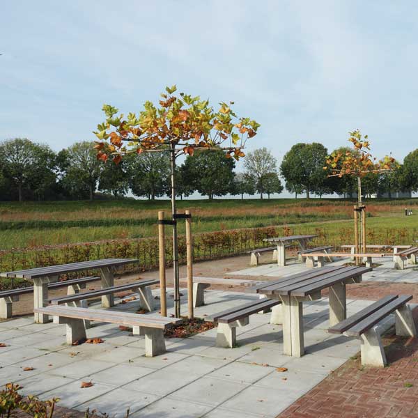 89548_straatmeubilair_picknicksets_banken_tafels_FalcoPark
