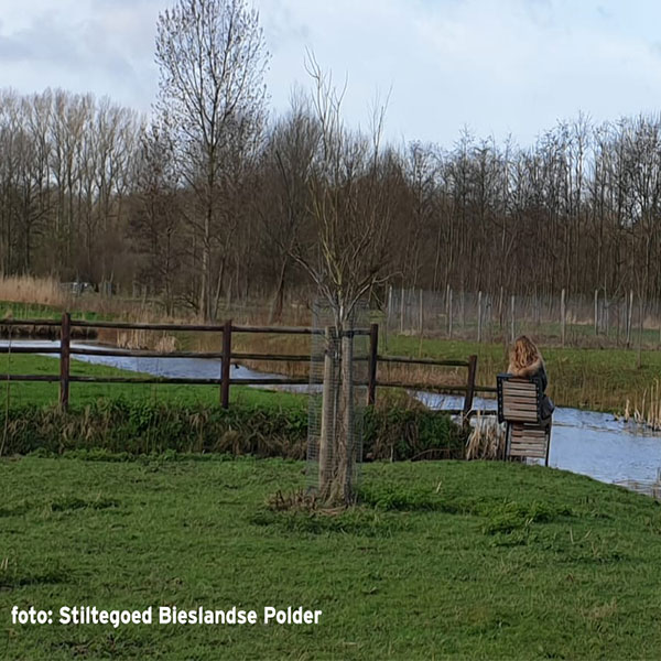 100180 straatmeubilair buitenbank stoel