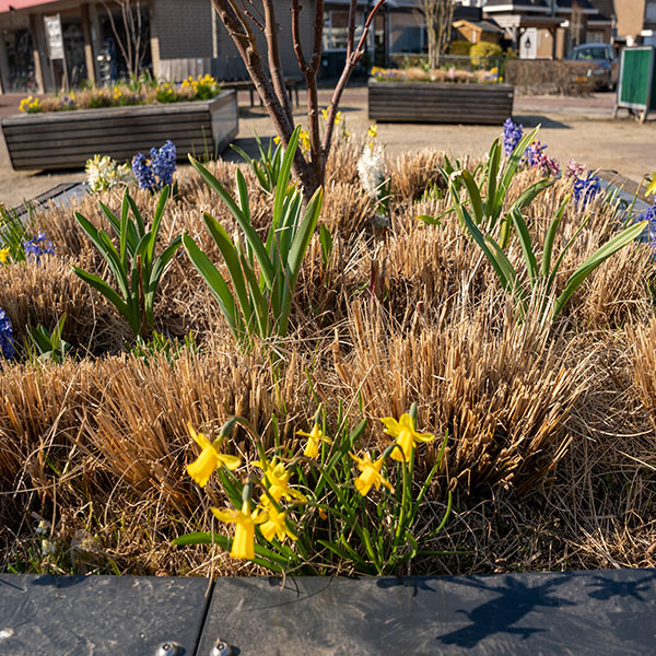 97495 straatmeubilair zitbank plantenbak
