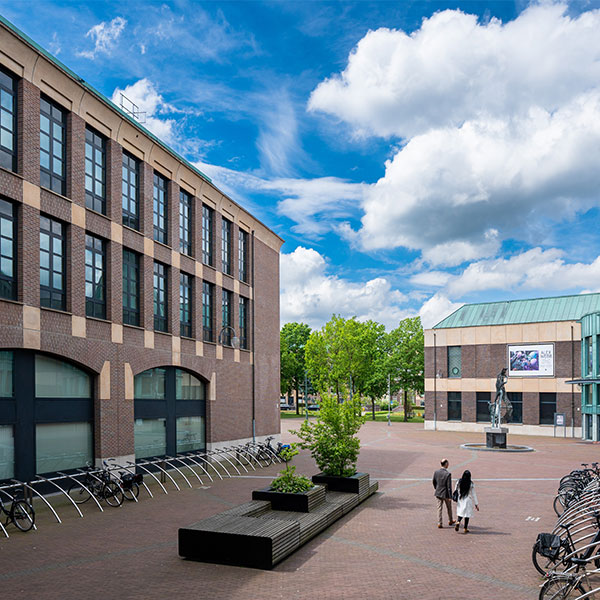 96154 buitenbank boombank FalcoLinea XXL plantenbak zitelement