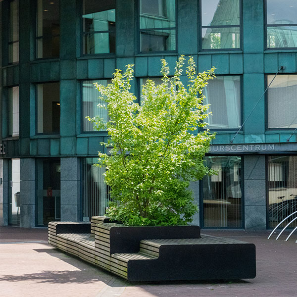 96154 buitenbank boombank FalcoLinea XXL plantenbak zitelement