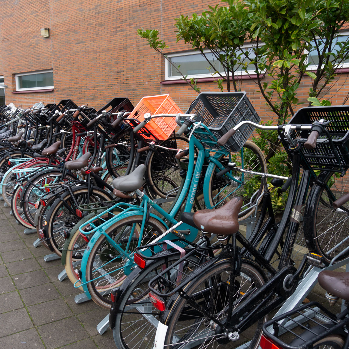 Fietsenrek voor kratfietsen bij Montaigne Lyceum Den Haag