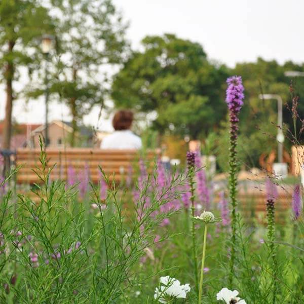 93551_straatmeubilair_fietsparkeren_banken_fietsaanleunbeugels