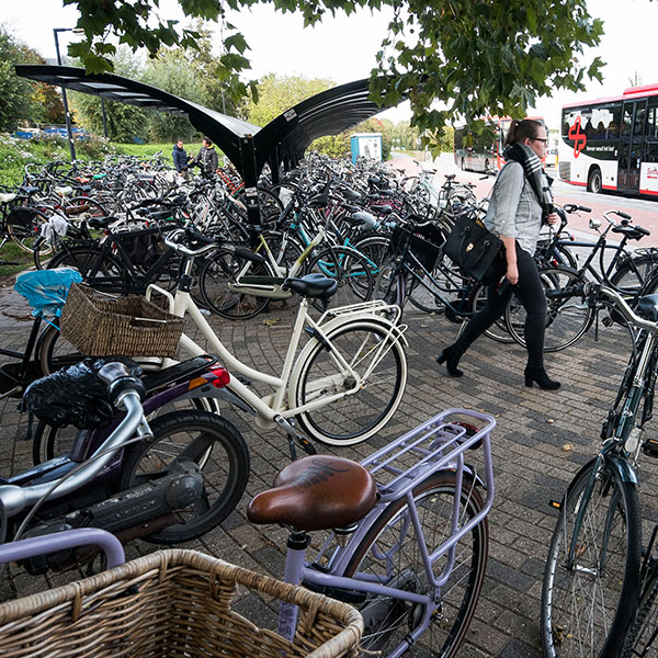 57372_bushalte_fietsparkeren_fietsoverkapping_fietsenrek